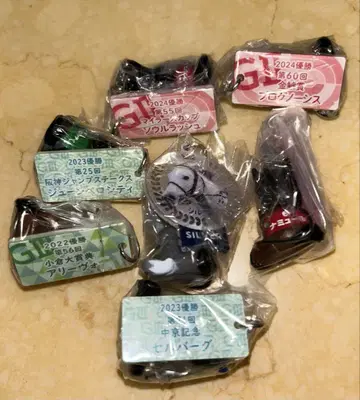 아이돌 호스 키링 서울 러쉬 아리보나 뮬 실바 소닉