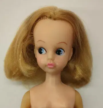 나카지마 제작소 스칼렛짱