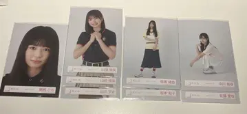 사쿠라자카46 4기생 폴로 셔츠 코디 브로마이드 묶음 판매
