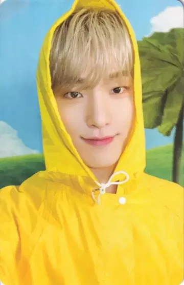 세븐틴 DINO 세븐틴스 헤븐 캐럿