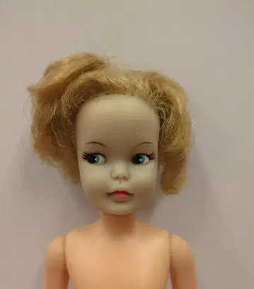 아이데알 사 타미짱 일본제 페퍼짱
