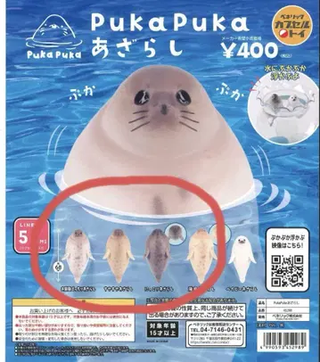 pukapuka 물개 4종 세트