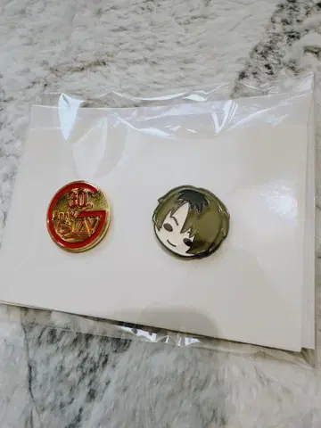 GLAY 복권 TERU 핀즈 세트