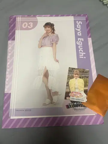 에구치 사야 핑포스 최애 여행 스티커 포함