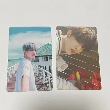 세븐틴 에스크푸스 teen age 트레이딩 카드