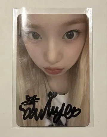 MADEIN 친필 사인 트레이딩 카드 스헤