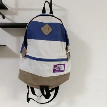 THE NORTH FACE 스트라이프 백팩