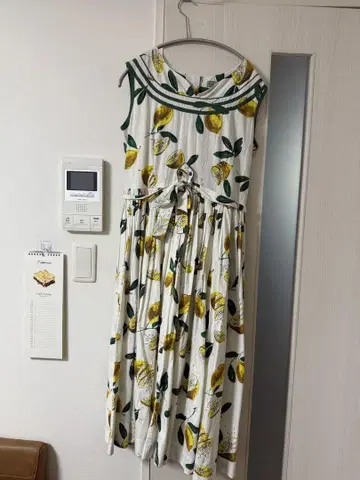 레몬 패턴 슬리브리스 롱 원피스