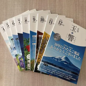 월간 타마히비 2024년 4월호~2024년 12월 최종호 9권 세트