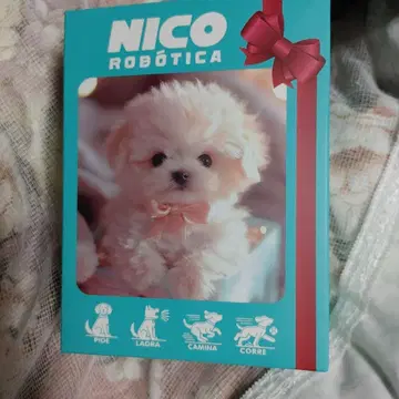 NICO 로보티카 소형 로봇 개