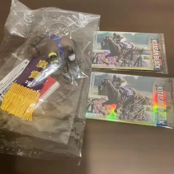 키타산 블랙 키링과 카드 세트