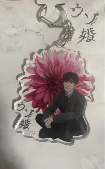 거짓 결혼 아크릴 스트랩 와타나베 쇼타