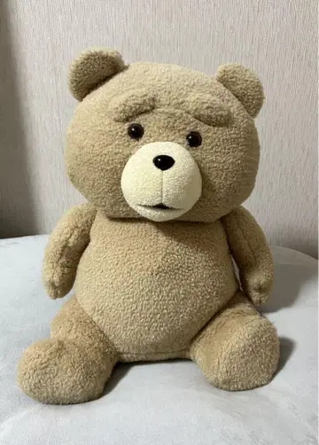 테드 ted 봉제 인형