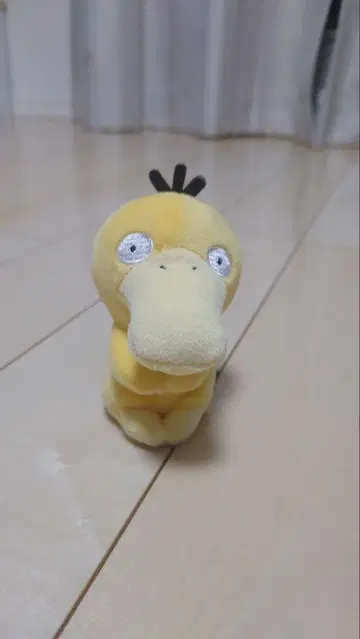 쵸코리 씨 포켓몬 코닥 단종 상품