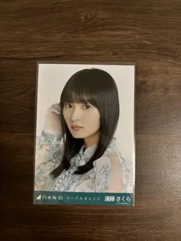 네이블 오렌지 엔도 사쿠라 요리 노기자카46 브로마이드