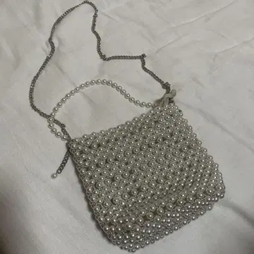 자라 펄 비즈 파티 백