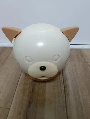 고양이 저금통