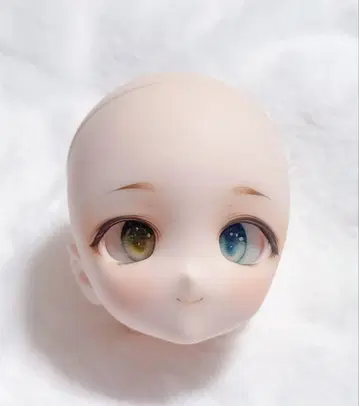 딜러 제작 커스텀 헤드 DDH-27 세미 화이트 MDD