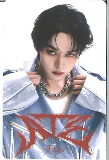 StrayKids NEMO ver. LeeKnow ATE B/화이트