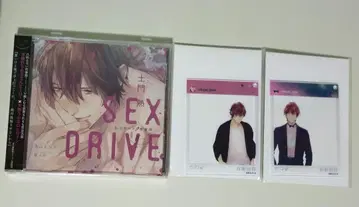 SEXDRIVE 기세 일수