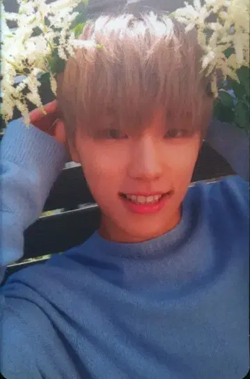 세븐틴 DINO TEEN, AGE WHITE