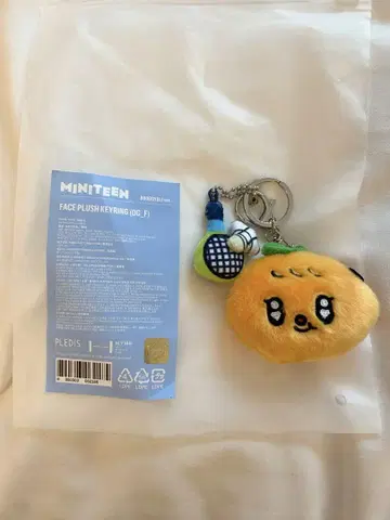 SEVENTEEN 성광 MINITEEN 팝업 키링