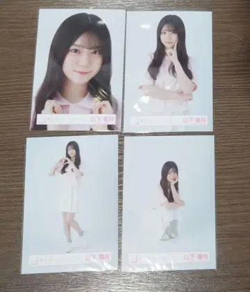 사쿠라자카46 야마시타 시즈키 피케 셔츠 코디