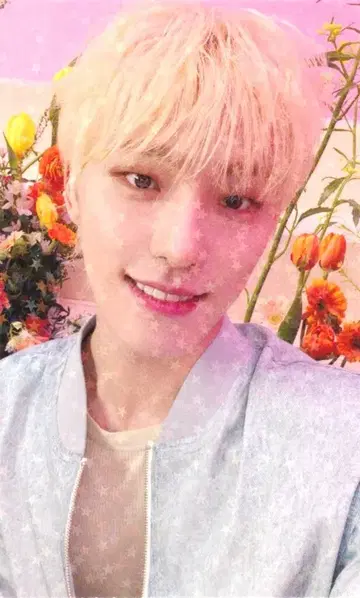 SEVENTEEN UMS DINO ALWAYS YOURS 홀로그램