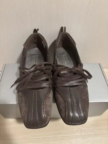 록피시 웨더웨어 23cm
