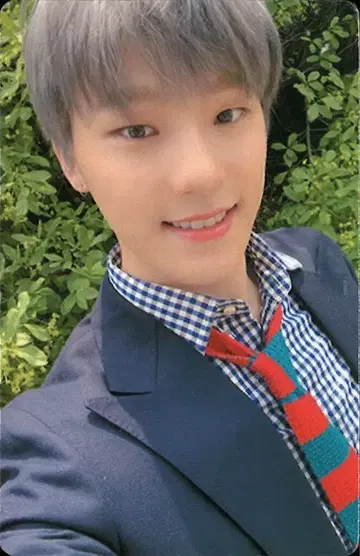 SEVENTEEN The Poet DINO An Ode 브라운