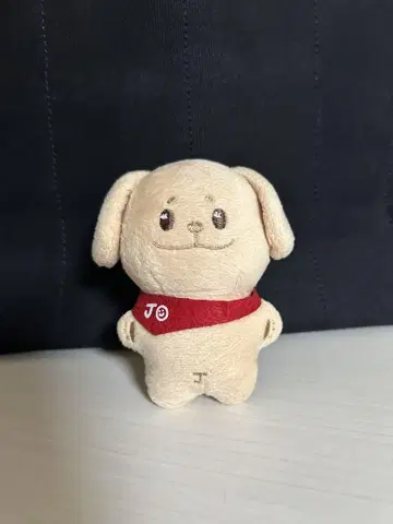 ENHYPEN JAKE 마스터 봉제 인형