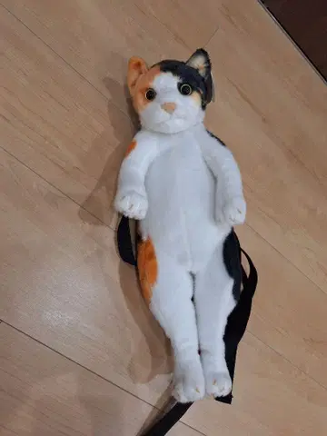 리얼한 고양이 백팩