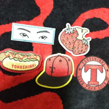 동방신기 TOHOSHINKI 와펜 브로치