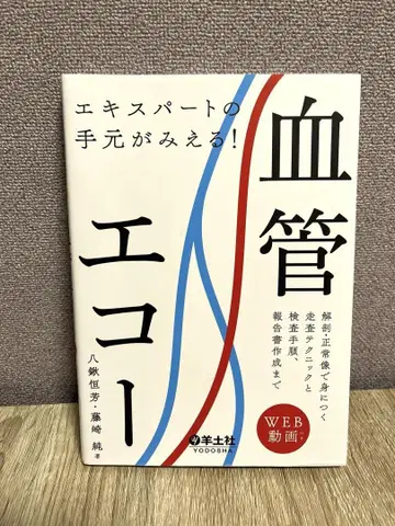 전문가의 손길이 보입니다! 혈관 에코