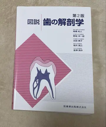 도해 치아 해부학 제2판