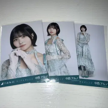 노기사카 브로마이드 네이블 오렌지 나카니시 아르노 컴프
