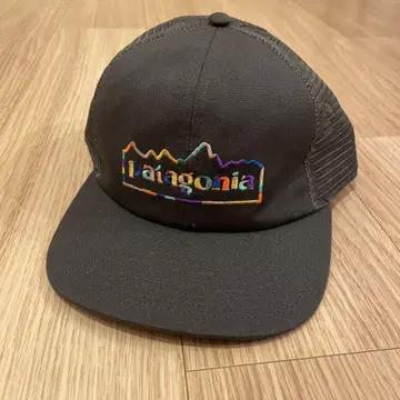 Patagonia 다크 그레이 캡 원사이즈