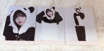 애니멀 룸웨어 나카니시 아르노 컴프