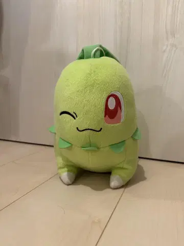 치코리타 봉제 인형