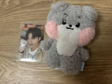 제베원 고니니 봉제 인형 트레이딩 카드 세트