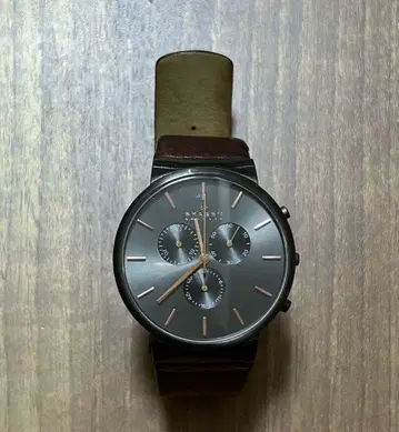 SKARGEN SKW6106 손목시계