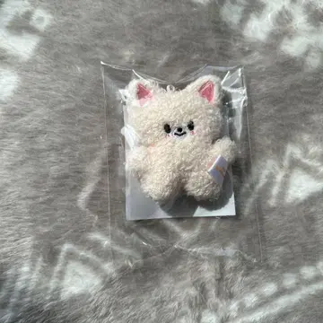 스트레이키즈