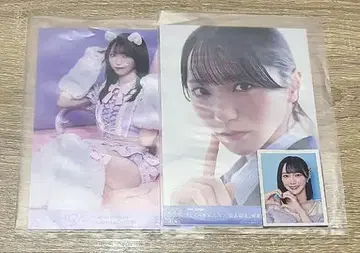 노구치 이오리 봉입 ID 사진