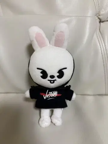 straykids skzoo Lee 비트 리노