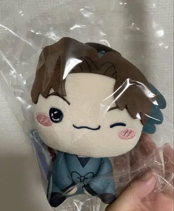 극장판 닌자 타마 란타로 모치피코 봉제 인형 야마다 리키치