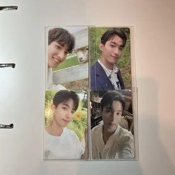 SEVENTEEN social culb 도겸