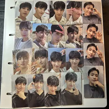 SEVENTEEN facethesun 도겸