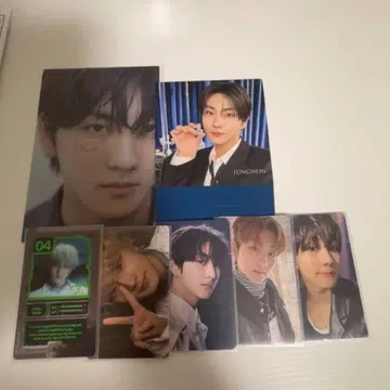 정원 트레이딩 카드 세트