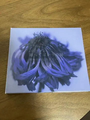 춤추기만 하는 나라 CD