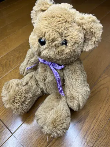 브라운 곰 봉제 인형